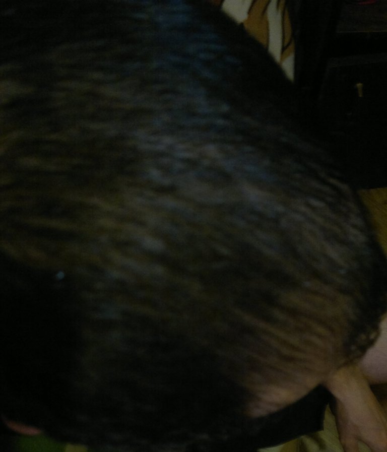 09062012190.jpg
