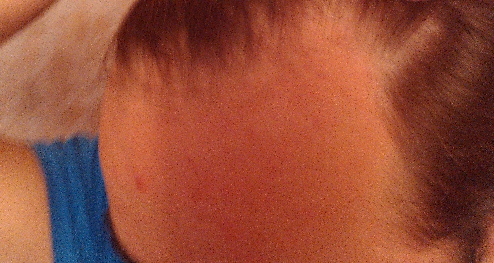 IMAG0423.jpg