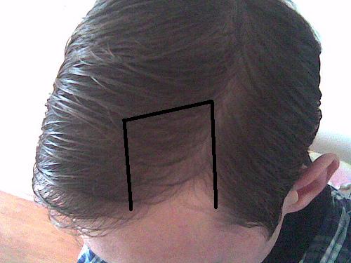 4449691639_6acfec05a1.jpg