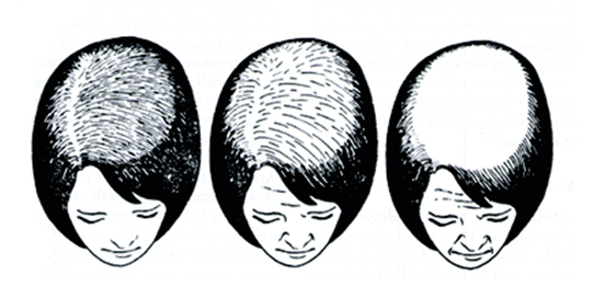 anh1.jpg